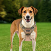 Tactical Dog Harness — Military Grade