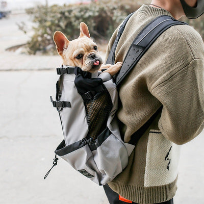 Ventilated Dog Carrier Backpack