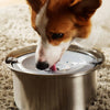 Anti-Spill Dog Water Bowl - View 4 | Pet Bowls Singapore