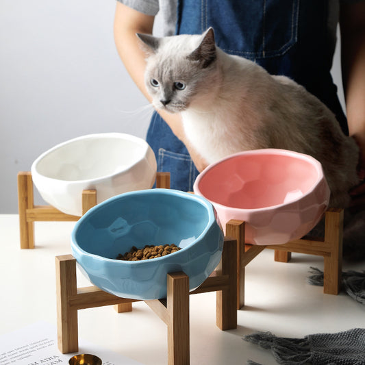 Tilted Pet Bowl — Ergonomic Design for Cats & Dogs