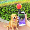 Pet Selfie Phone Clip — Photo Prop for Dogs