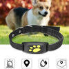 GPS Pet Tracker - Real-Time Location Tracking - View 9 | Pet Outdoor Singapore