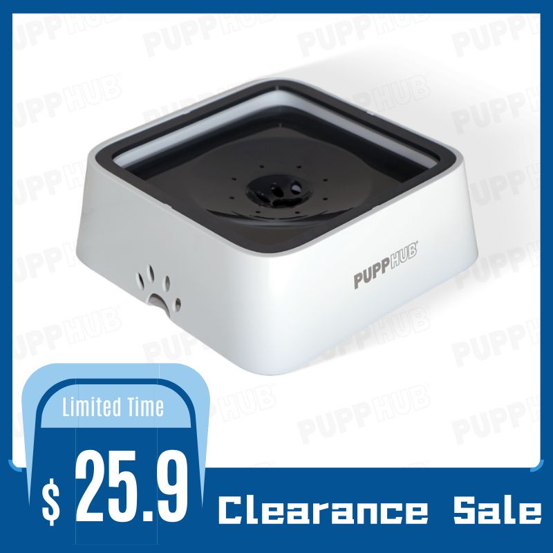 Anti-Spill Dog Water Bowl - Main View | DivinEssentials Pet Store