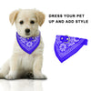Cute puppy wearing bandana collar - Dress Your Pet Up lifestyle photo