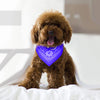 Poodle wearing blue bandana collar - lifestyle photo showing product on dog