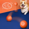 Interactive Rubber Bounce Ball — Durable Dog Chew Toy