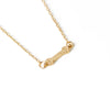 Best Friends Bone Charm Set — Necklace & Collar Tag
