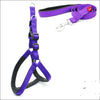 Padded Adventure Dog Harness