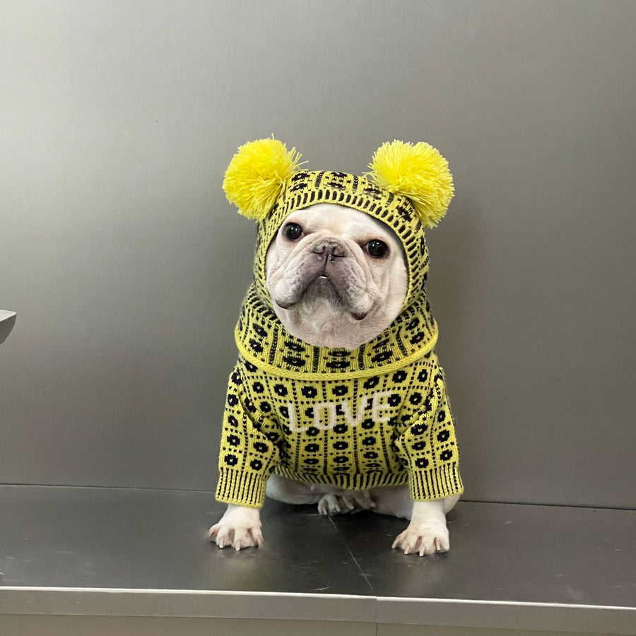 Knit Turtleneck Dog Sweater