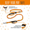 Hands-Free Dog Leash - Bungee Waist Belt - View 3 | Pet Outdoor Singapore