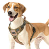 Tactical Dog Harness — Military Grade