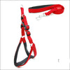 Padded Adventure Dog Harness