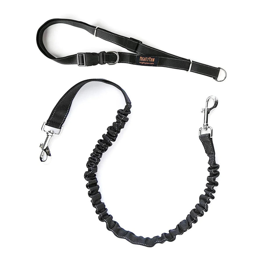 Hands-Free Dog Leash - Bungee Waist Belt - Main View | DivinEssentials Pet Store