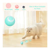 Interactive Rolling Cat Ball