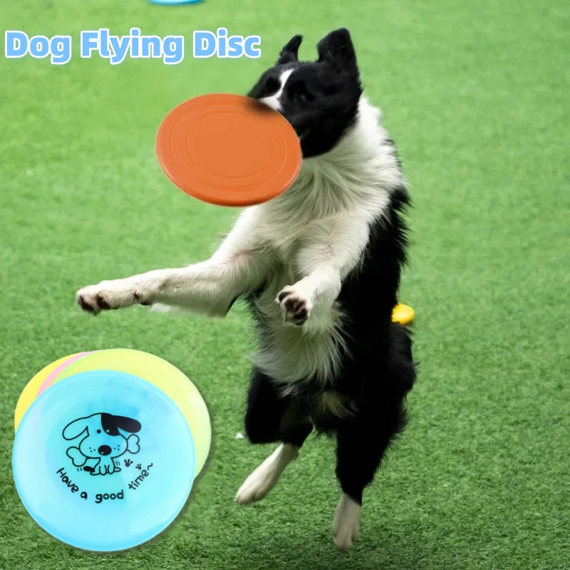 Silicone Flying Disc — Dog Training Toy