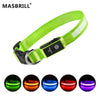 LED Rechargeable Dog Collar - Night Safety - Main View | DivinEssentials Pet Store