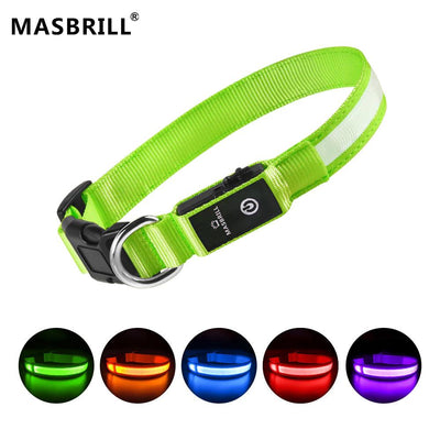 LED Rechargeable Dog Collar — Night Safety